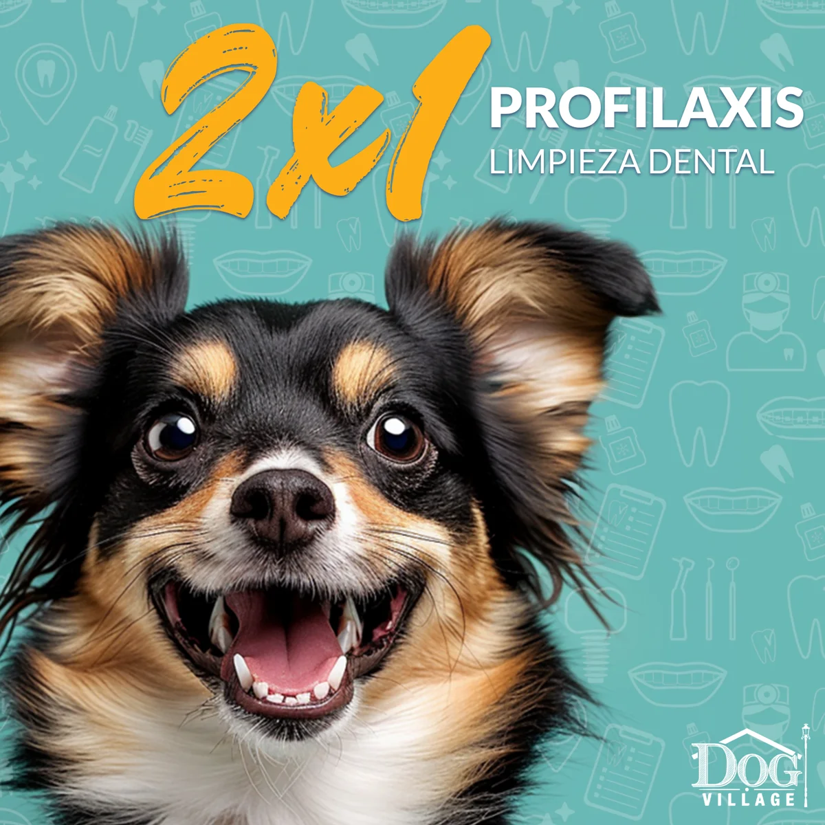 Post de 2x1 en profilaxis dental para Dog Village, con un perrito sonriendo.